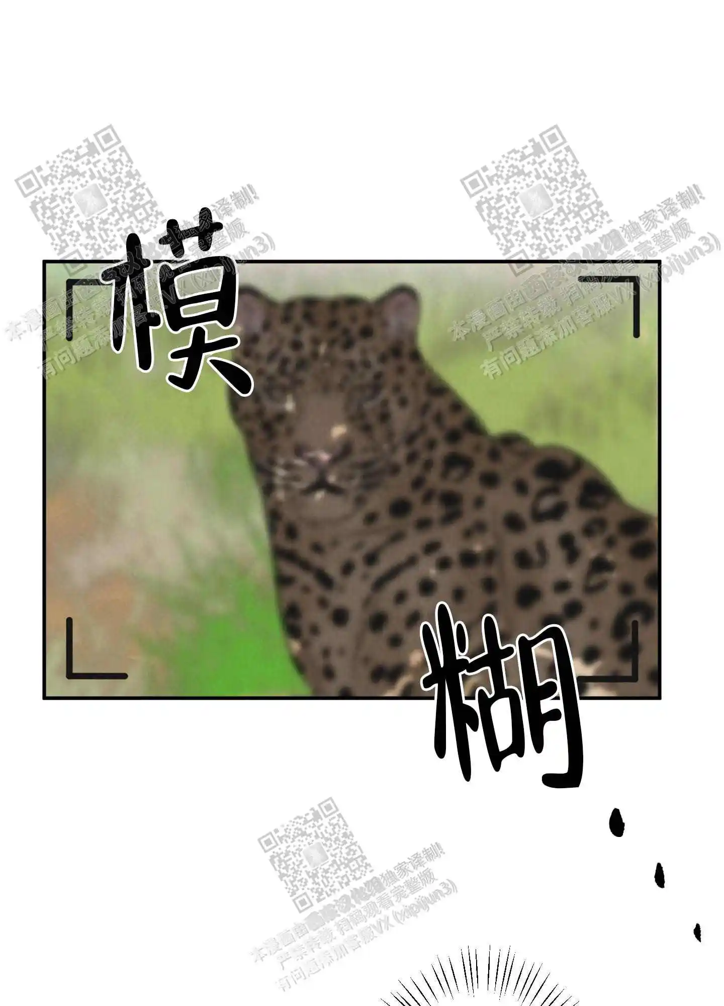 丛林游戏 - 野外拍摄 - 第7页