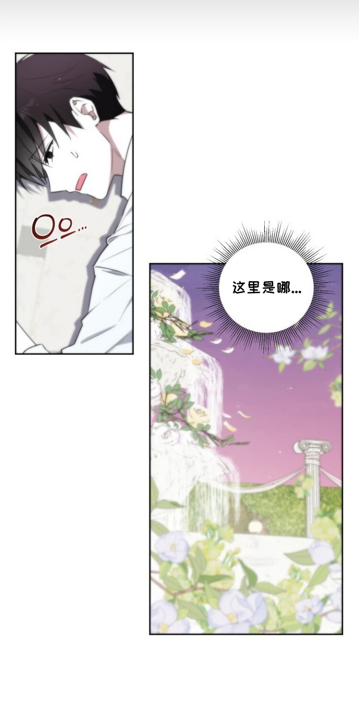 梦魔解药 - 车祸 - 第20页
