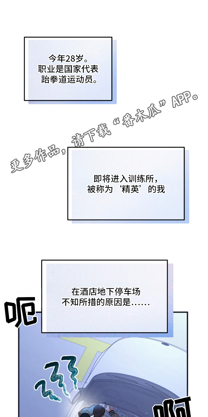 命运击绊 - 备受瞩目 - 第6页