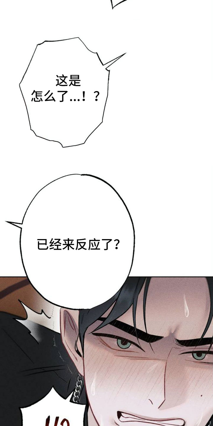 枷锁 - 报复 - 第8页