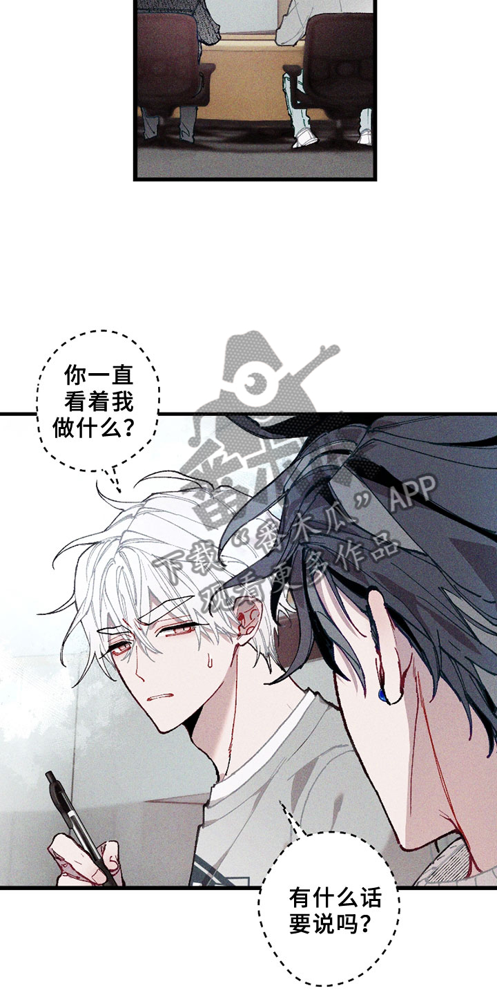 蓝名之谜 - 注视 - 第21页