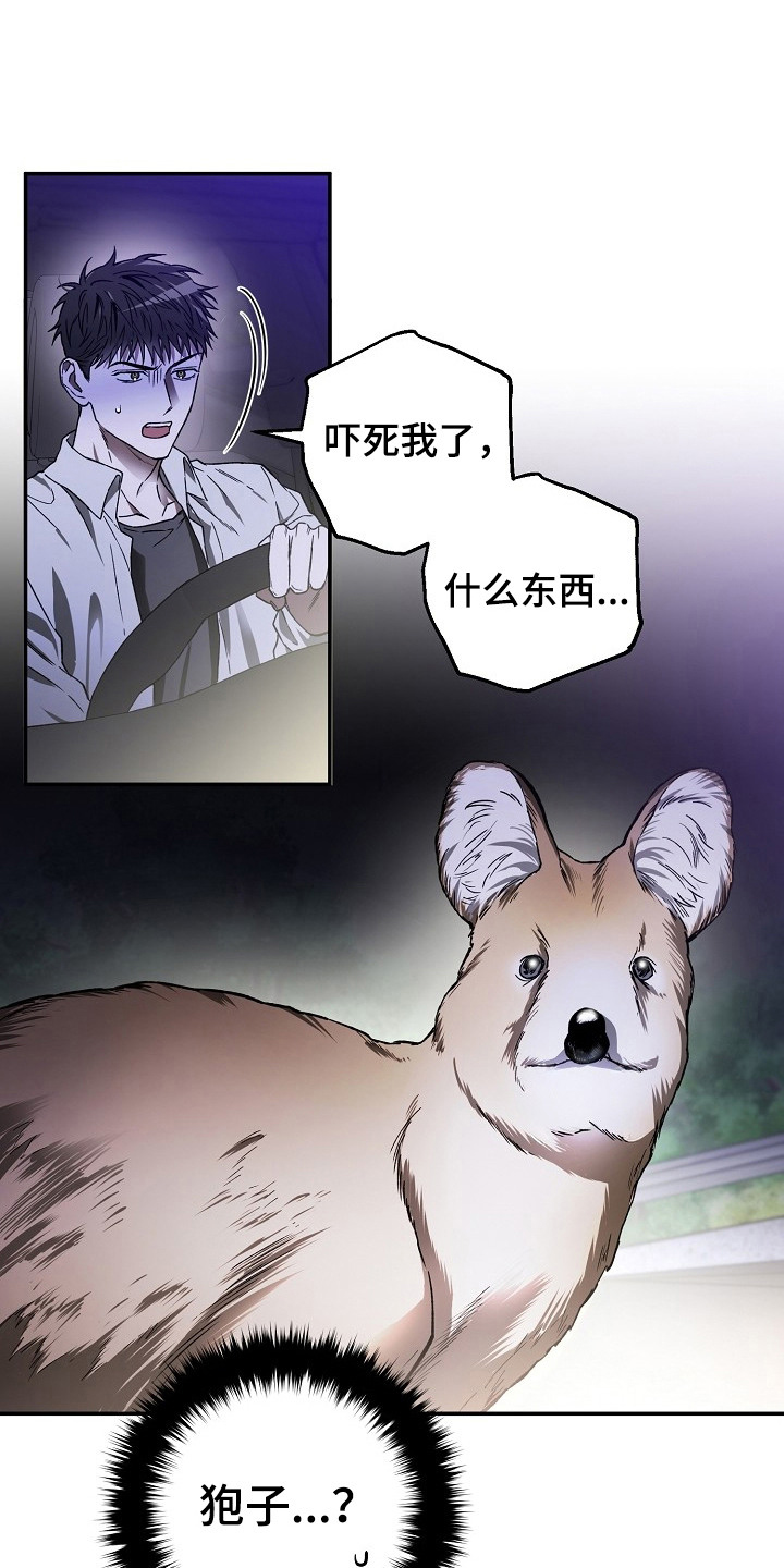 猛兽育儿书 - 正巧撞见 - 第9页