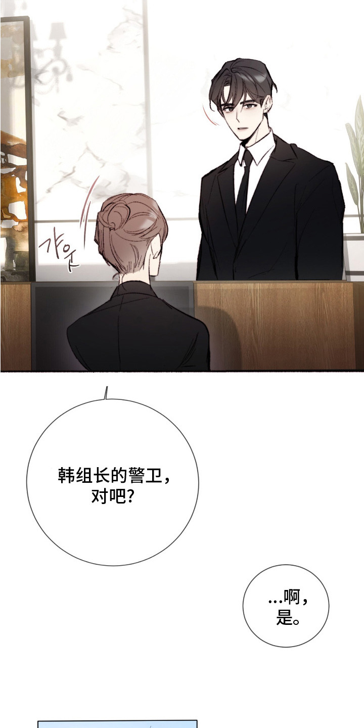 幸存者的曙光 - 想象 - 第17页
