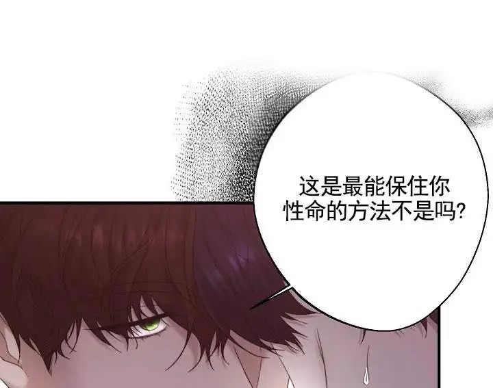 傀儡契约 - 能力者 - 第17页