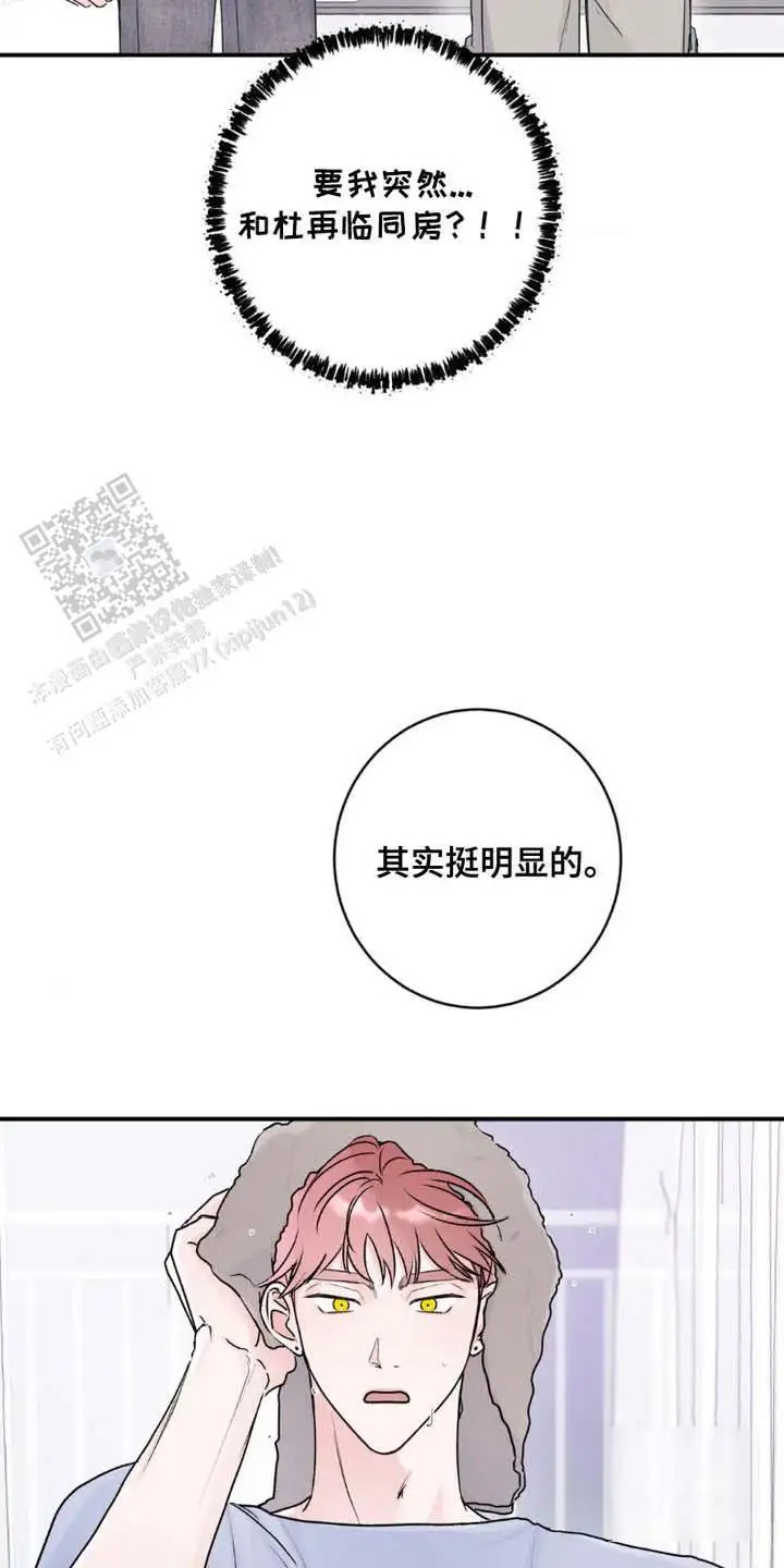前任伴侣 - 死命令 - 第14页
