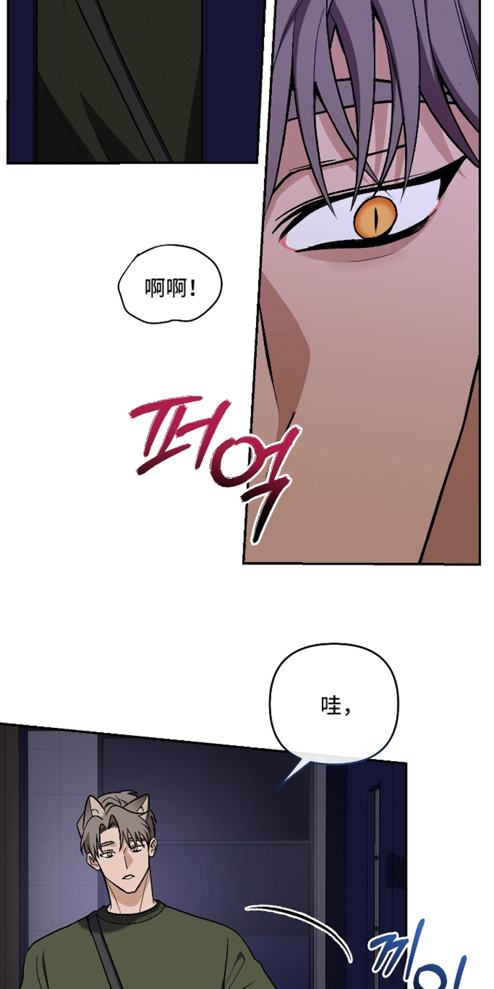 研究对象是哥哥 - 半夜的教室 - 第21页