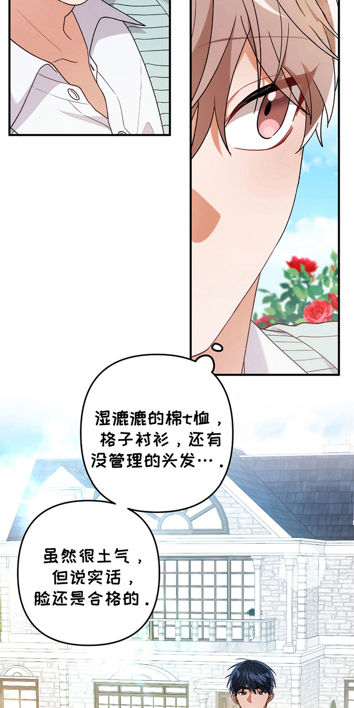 玫瑰庭院 - 真的吗 - 第10页