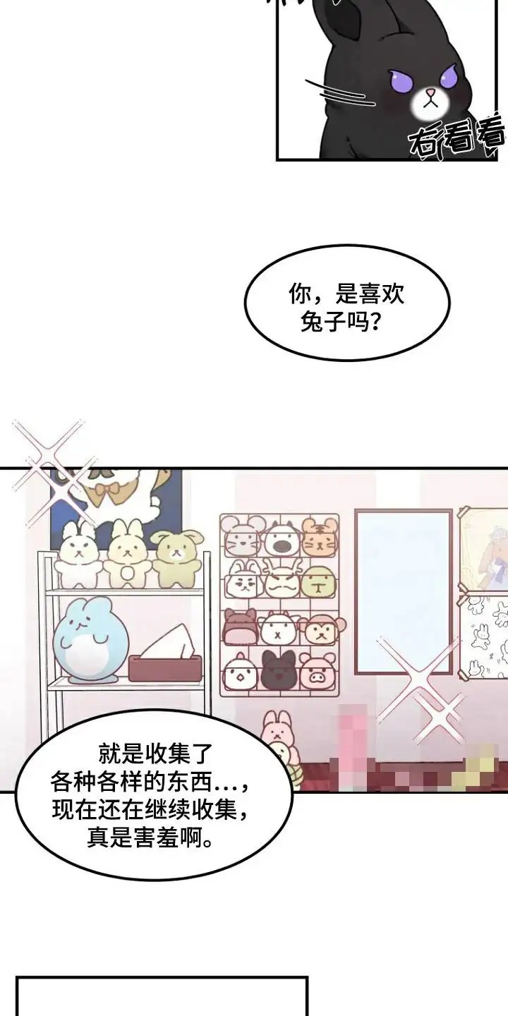 兔兔王子 -   - 第11页