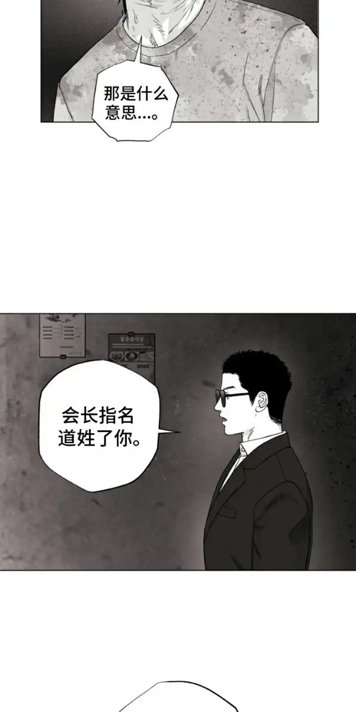 不屈的冠军 - 邀请函 - 第13页