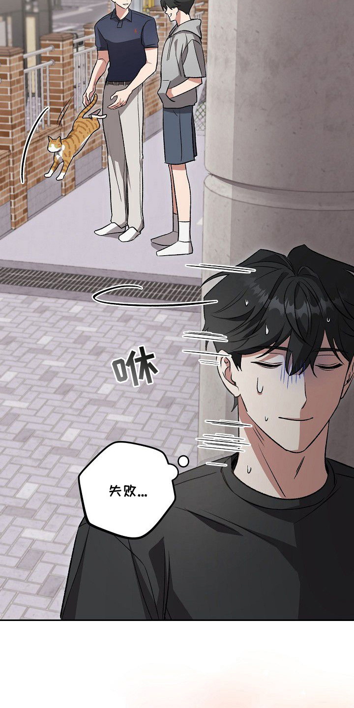 亲爱的杀手 - 告白计划 - 第14页