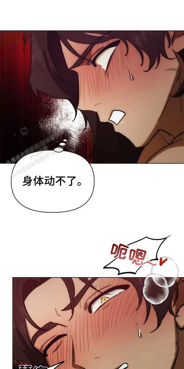 雨林让你幸福 - 诚意 - 第14页