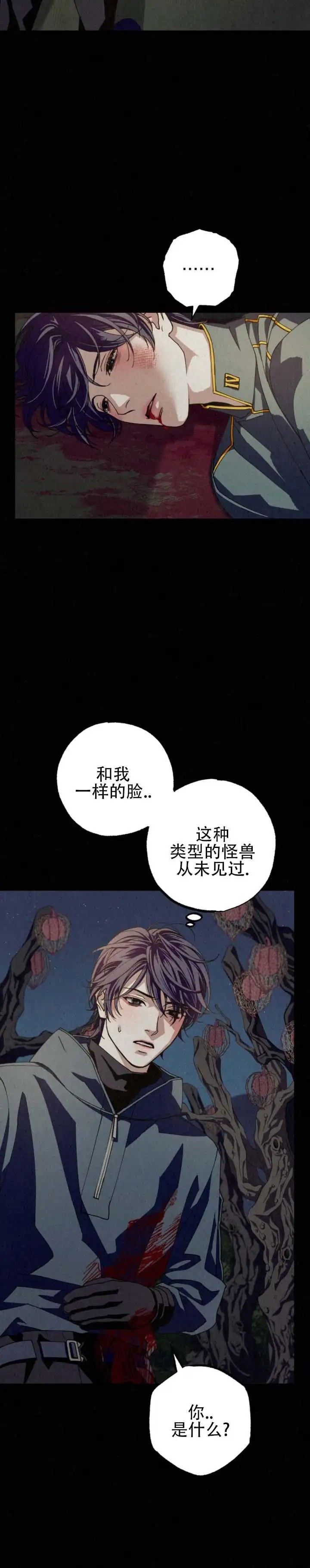 曙光余息 - 从未见过 - 第5页