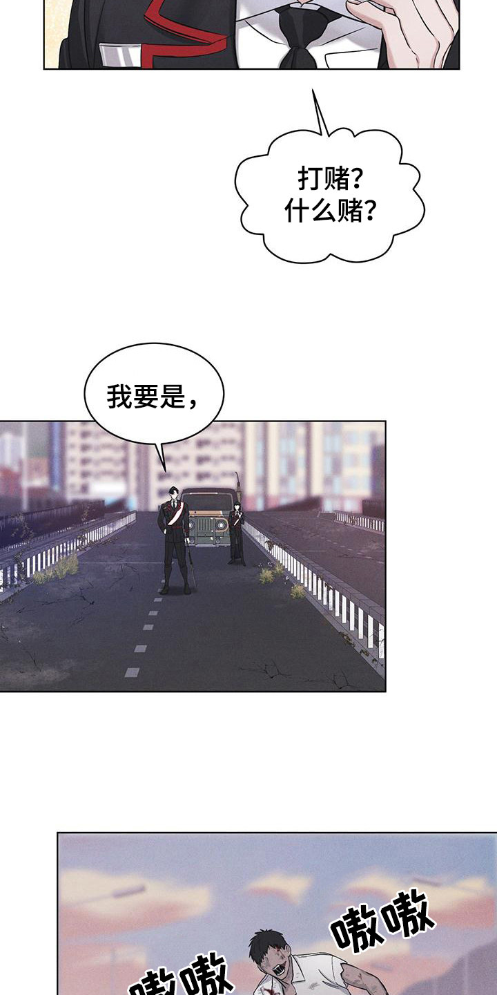 彩虹城 - 打赌 - 第19页
