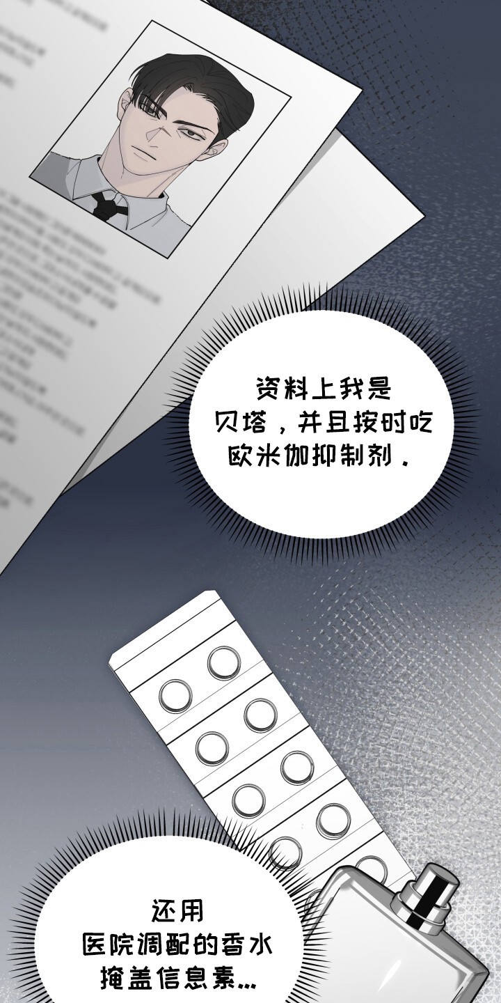 罪爱交错 - 掩盖身份 - 第17页