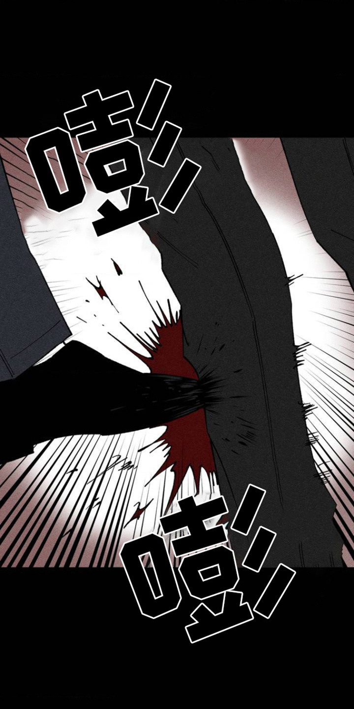 重逢诡计 - 别无他法 - 第17页