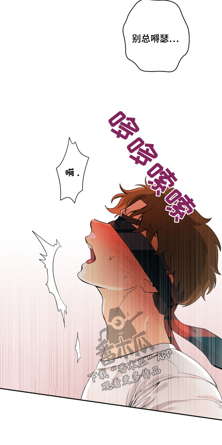恶徒猎人 - 不敢相信 - 第5页