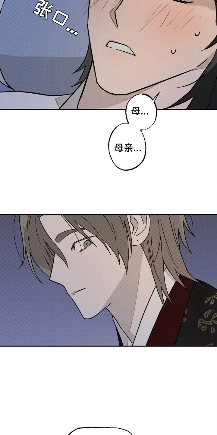 深宫残月 - 晕倒 - 第13页