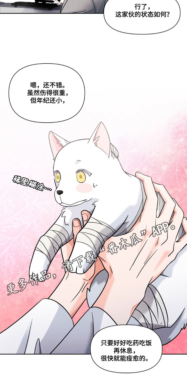 如此可爱的你 - 兽医 - 第12页