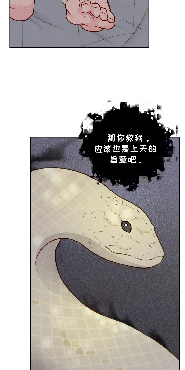 拥神说 - 天意 - 第5页