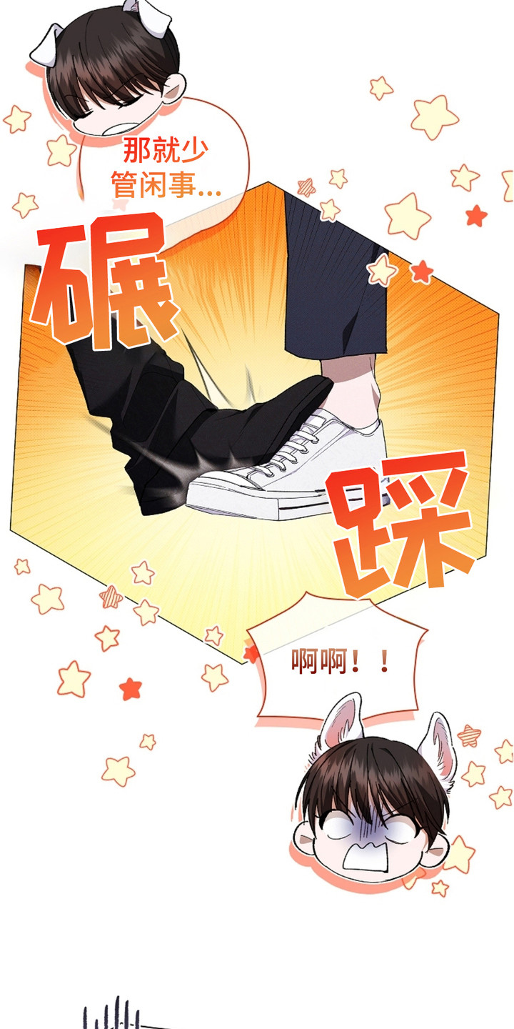 不要招惹小狗 - 传闻 - 第10页