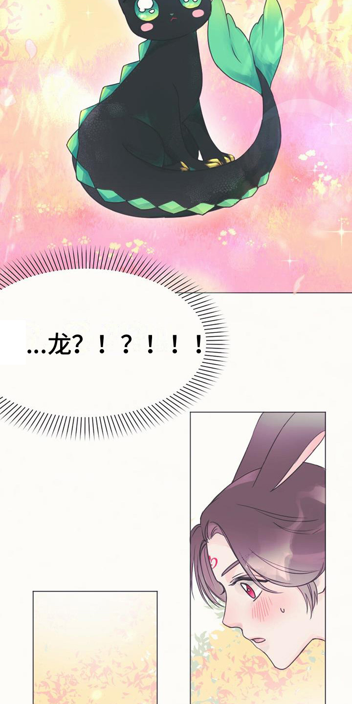 兔兔的小龙宝 - 幼龙 - 第9页