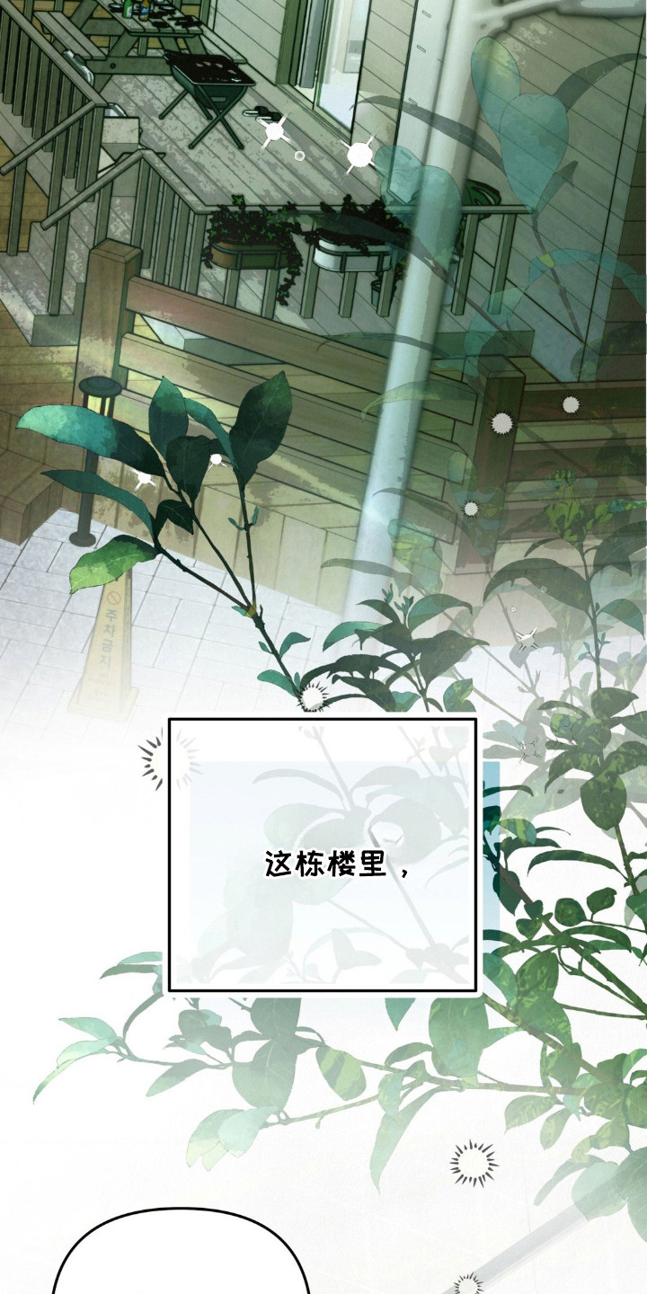 暗礁秘语 - 民宿管家 - 第19页
