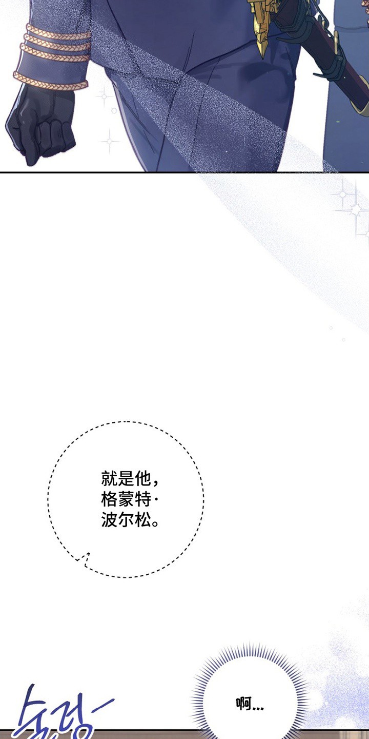 爱上骑士团团长 - 实现梦想 - 第29页