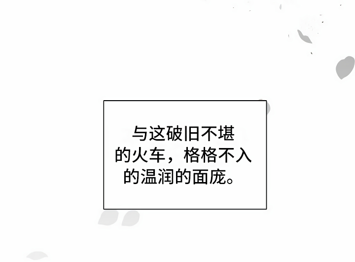 疯狂列车 - 登上列车 - 第29页
