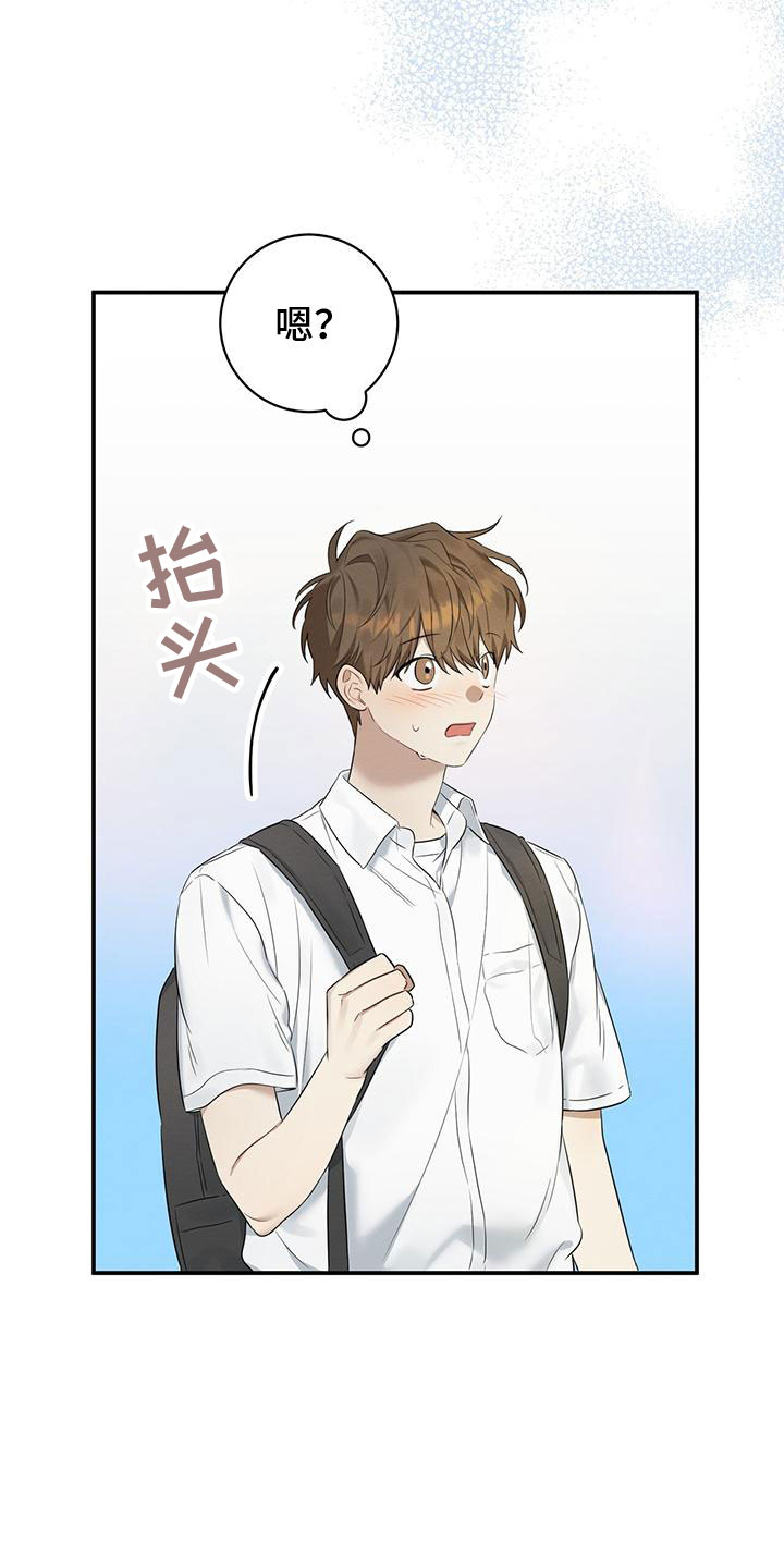 酸甜恋爱 - 校门口的人 - 第20页