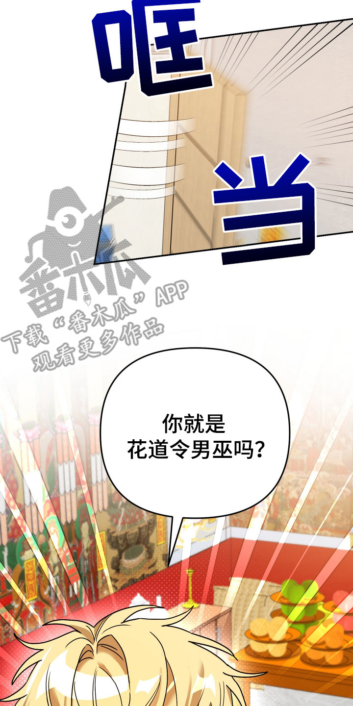欺诈恋爱 - 巫师 - 第18页