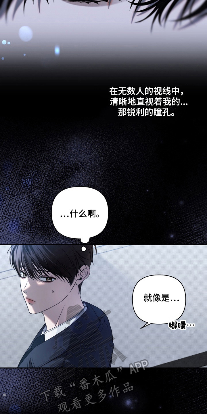 华丽的忧郁 - 视线 - 第24页