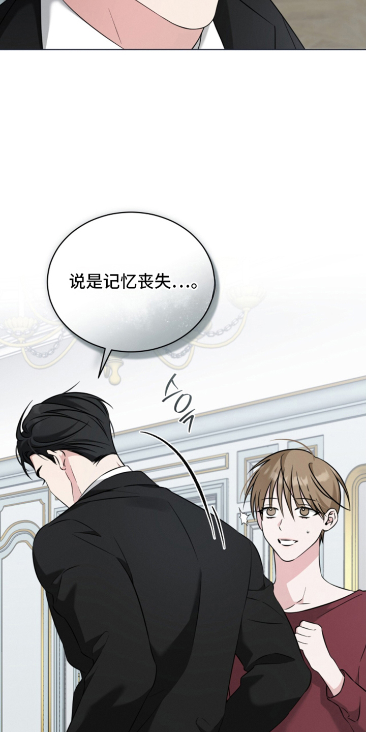 无香的花 - 全是真的吗 - 第14页