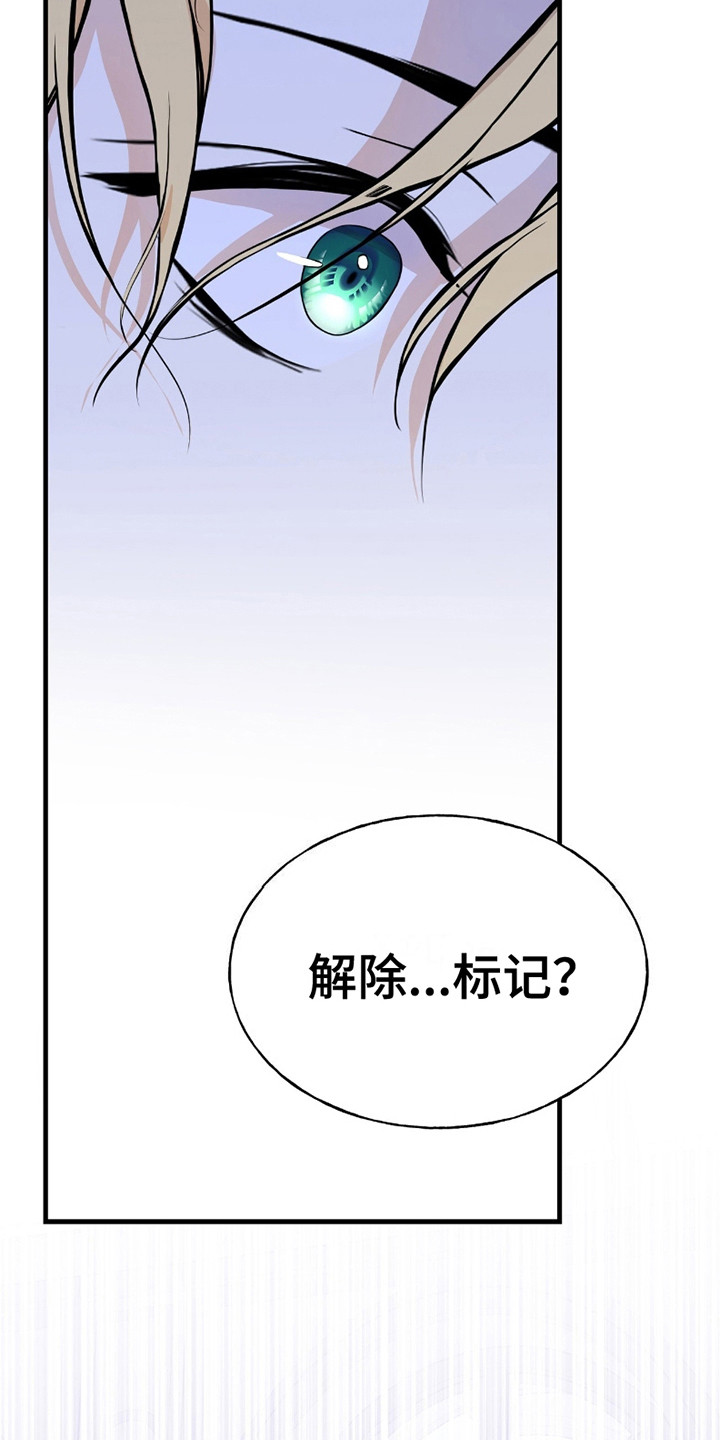 皇家婚礼 - 传闻 - 第7页