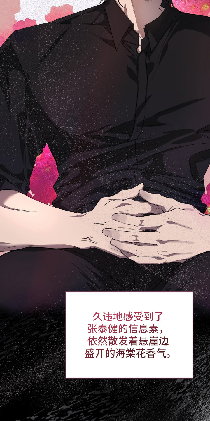 双A法则 - 不合适的拼图 - 第25页