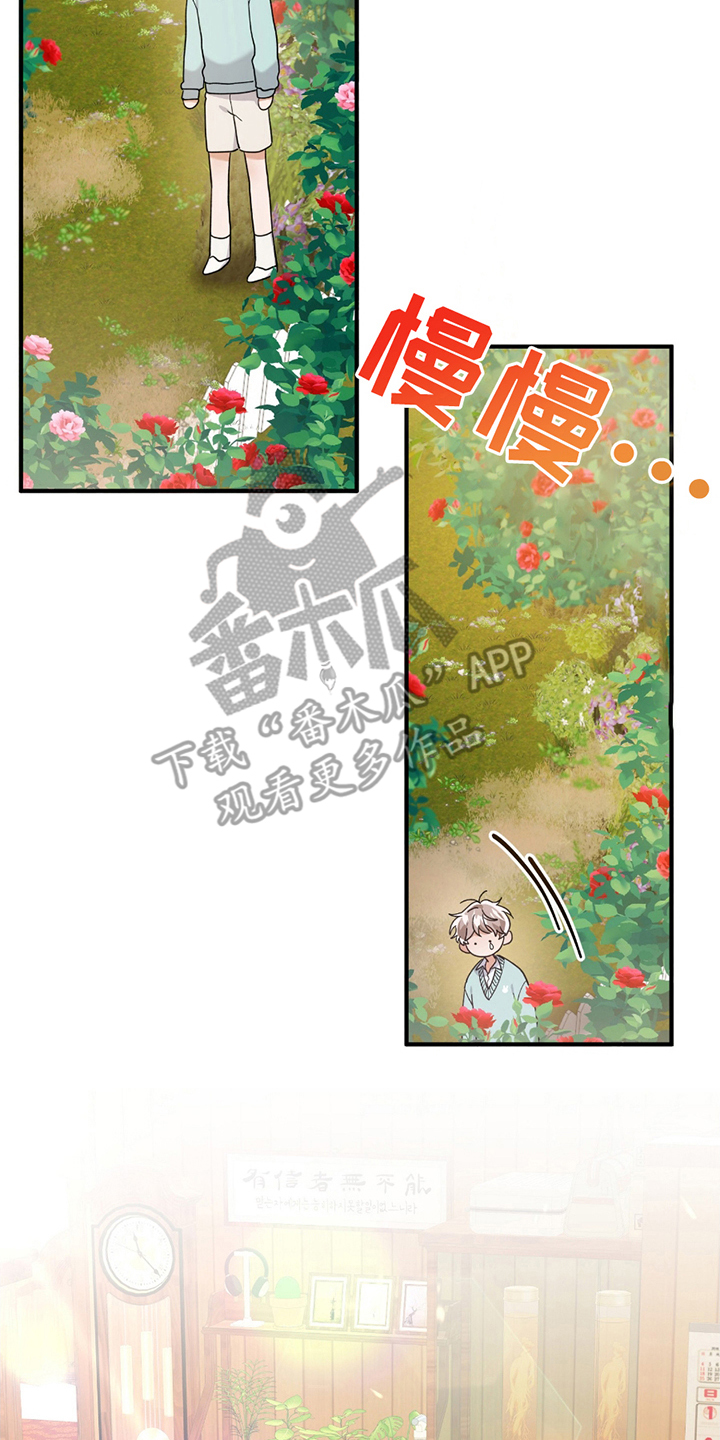 玫瑰庭院 - 正面突破 - 第11页