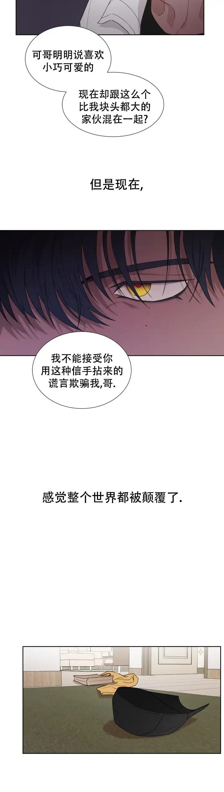 二手爱情 - 被颠覆了 - 第9页