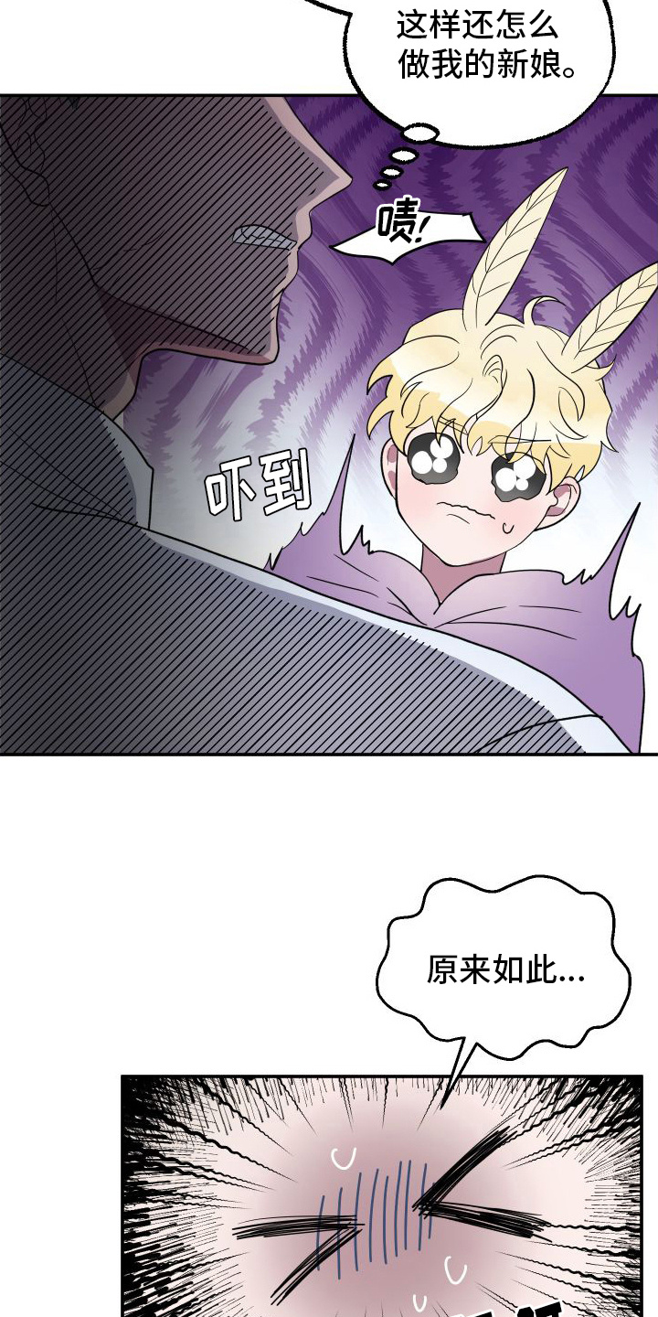 鲨鱼的新娘 - 品种 - 第12页