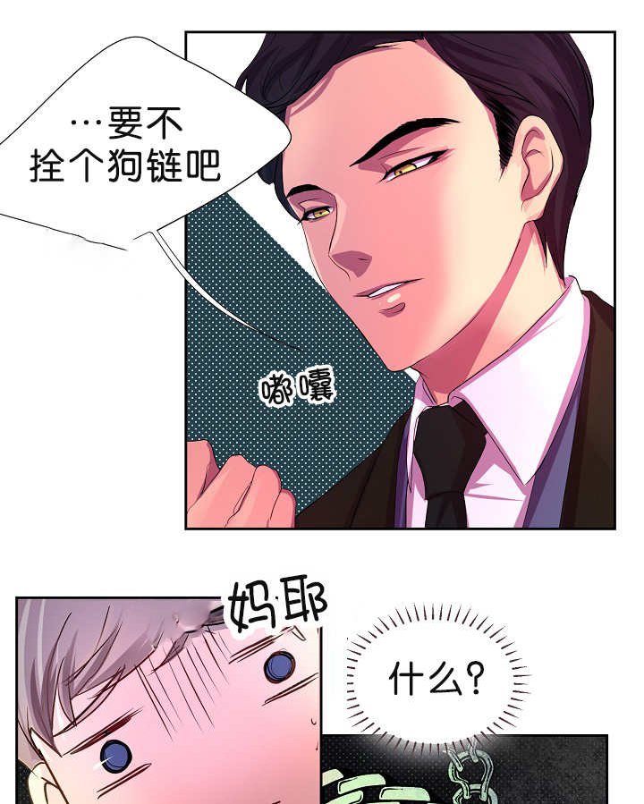 升温 - 一见钟情 - 第13页