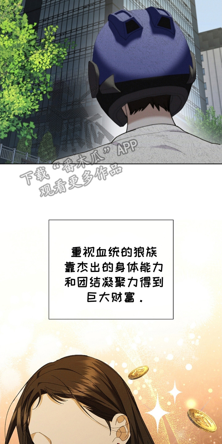 不要招惹小狗 - 最后一票 - 第24页