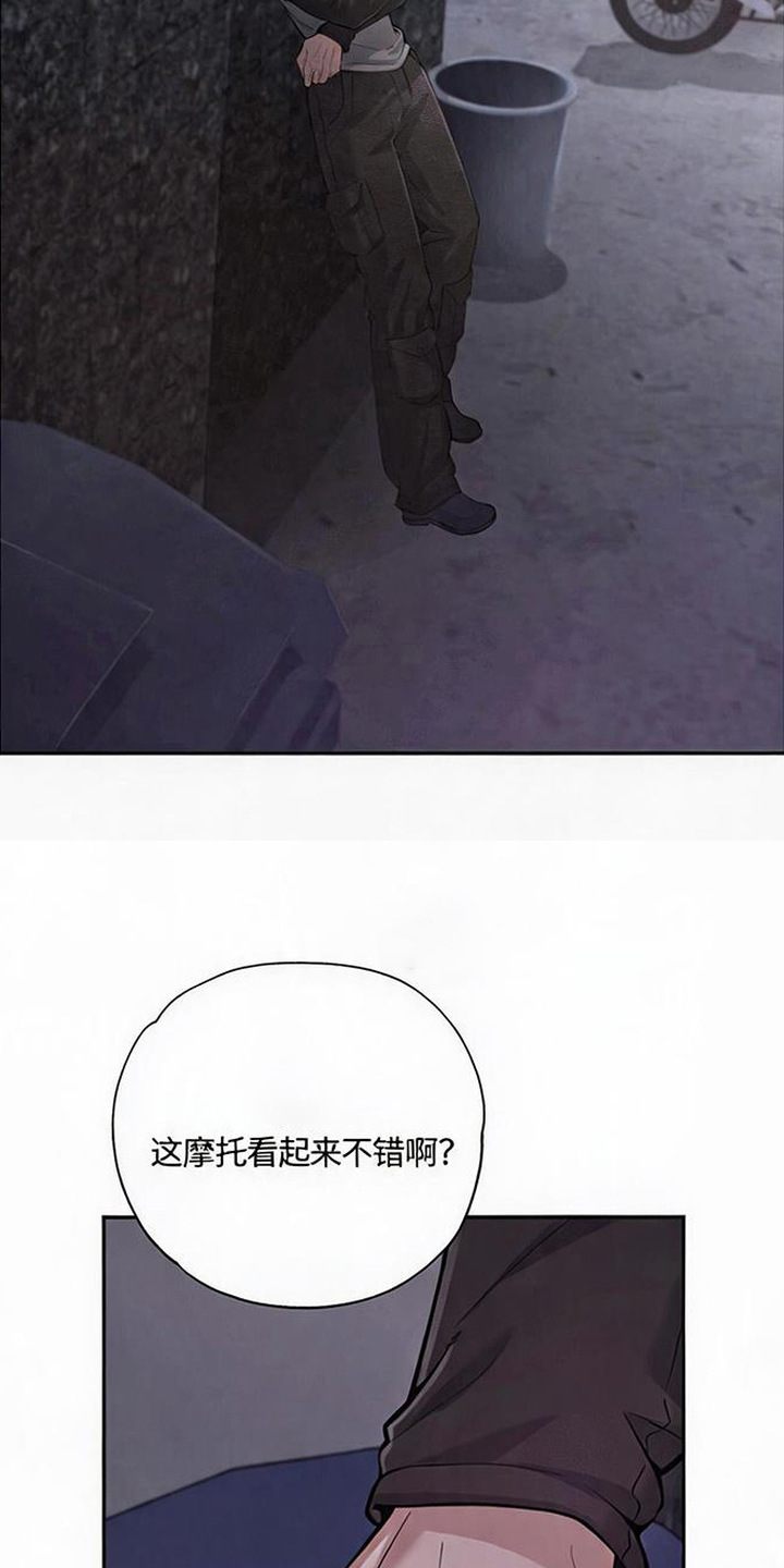 星光狼影 - 挨揍 - 第14页