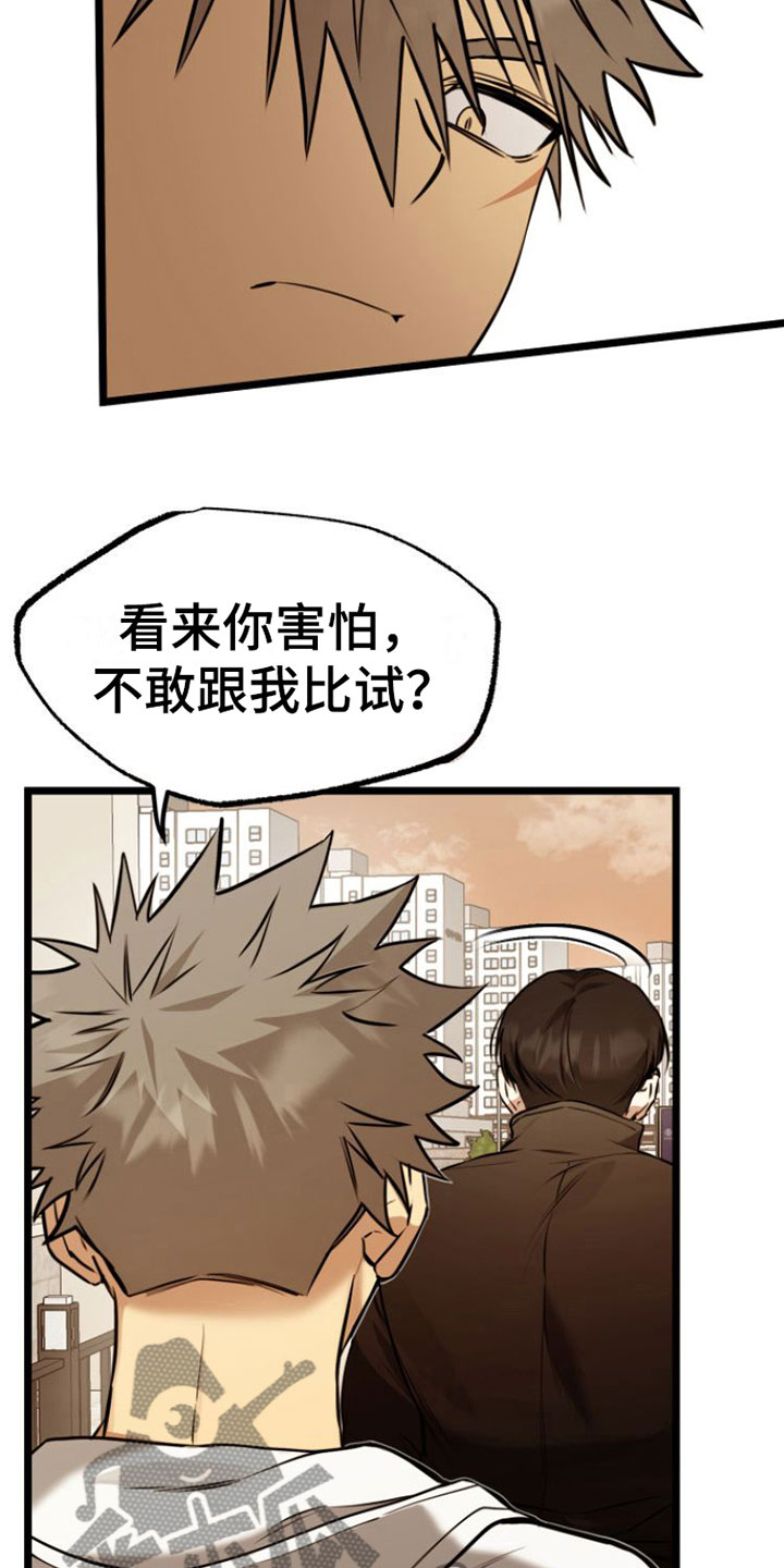憧憬的爱恋 - 条件 - 第13页