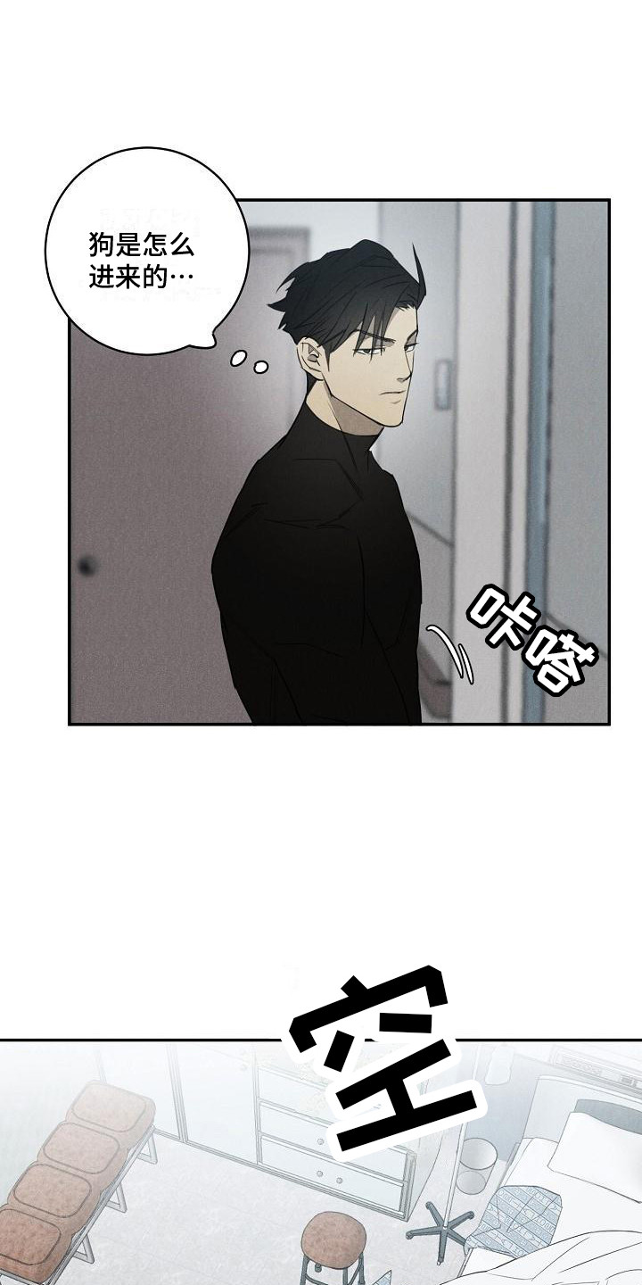 迷失方向 - 不见了 - 第12页