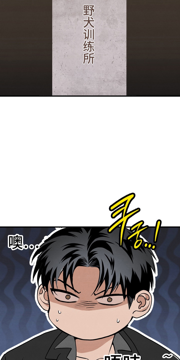 开发训狗 - 训练所 - 第20页