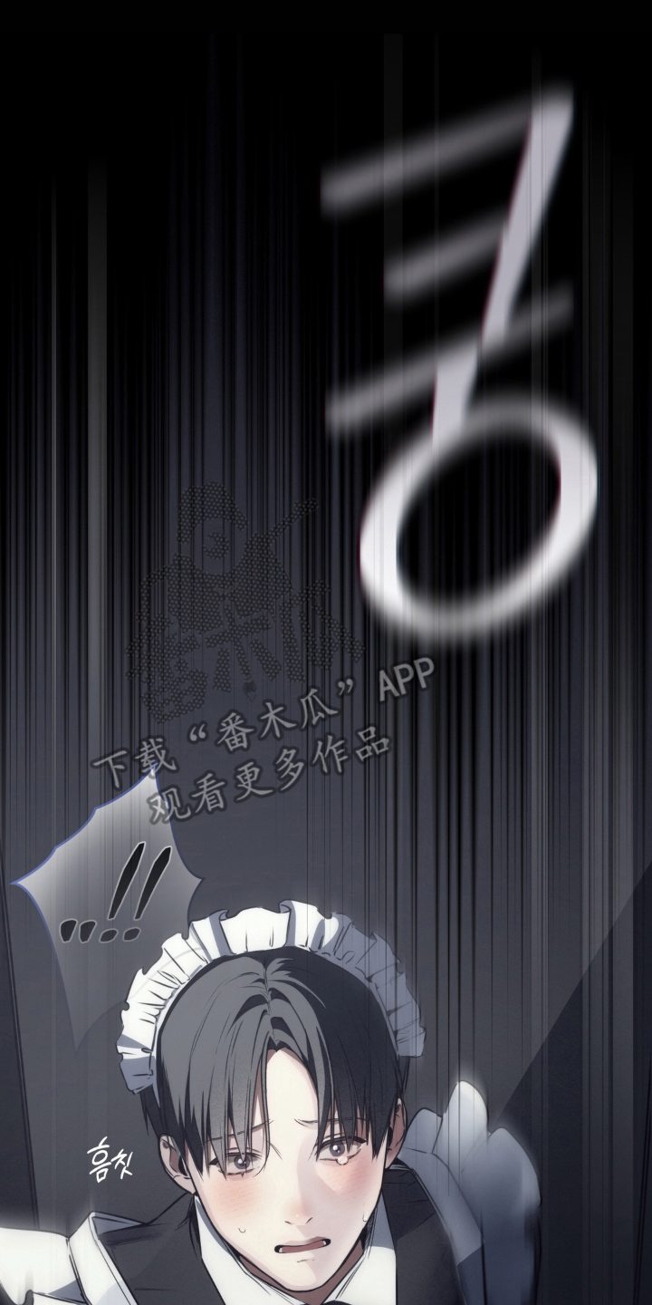 柜中女仆 - 女仆装 - 第11页