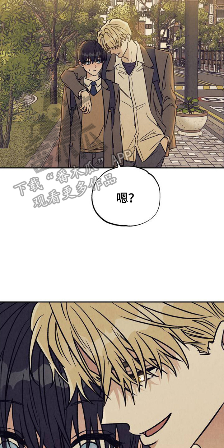 双A烦恼 - 分化 - 第17页