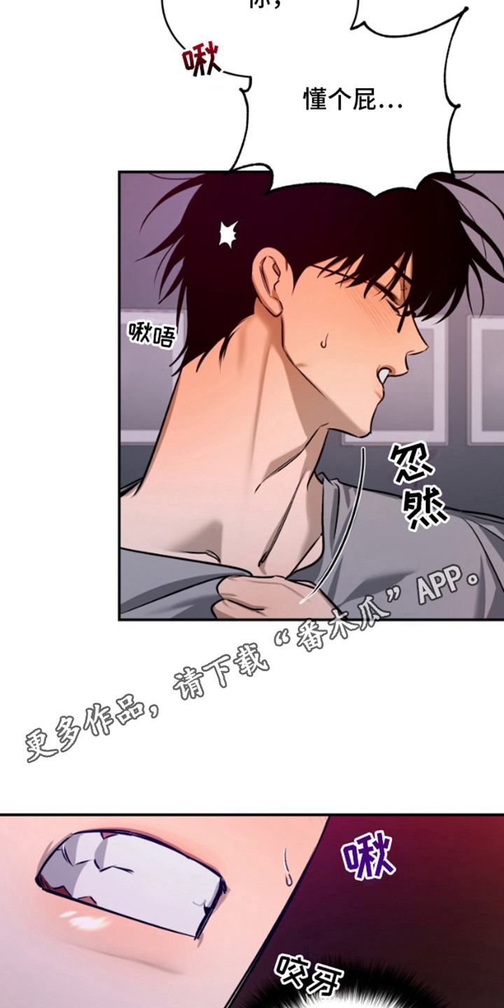祈愿之镜 - 明知故问 - 第15页