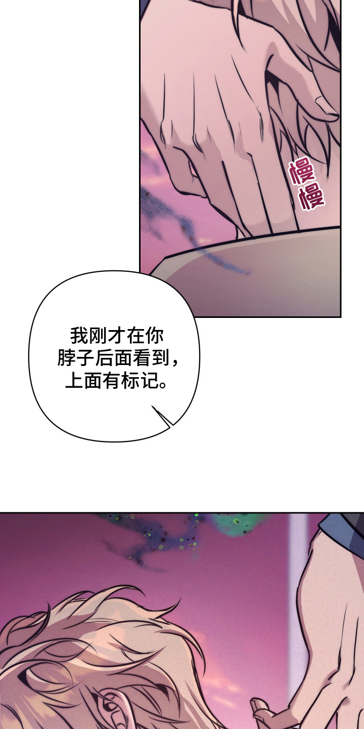 虚假烙印 - 信息素 - 第20页
