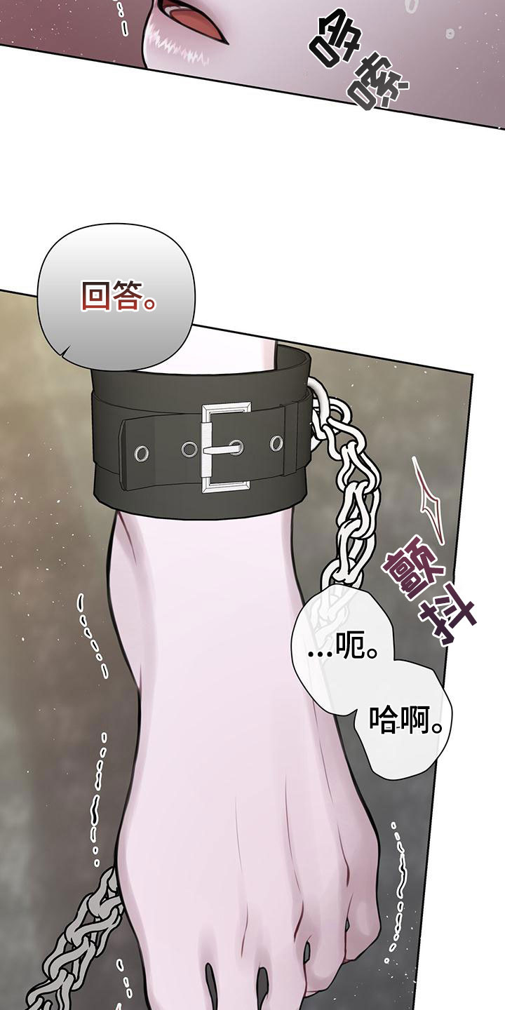囚笼日志 - 最棒的梦 - 第18页