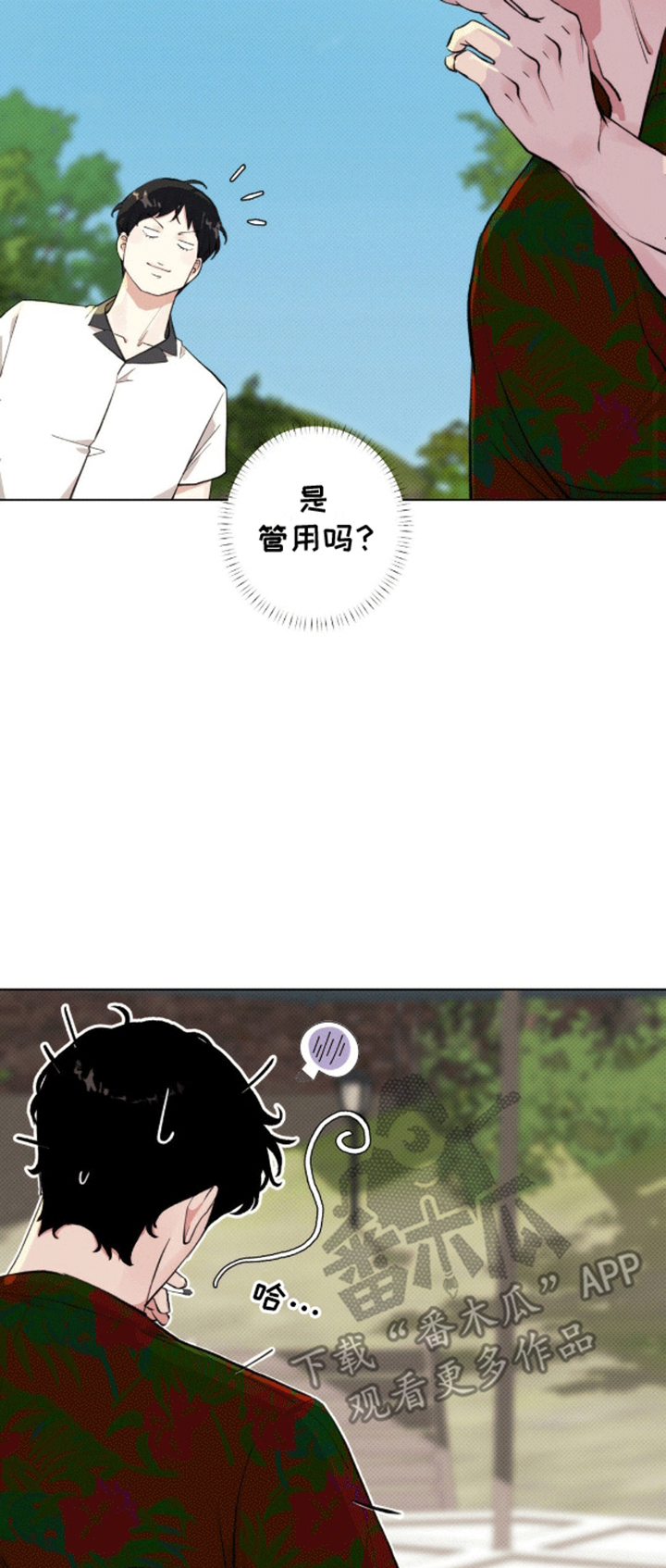 爱情岛 - 计划通 - 第8页