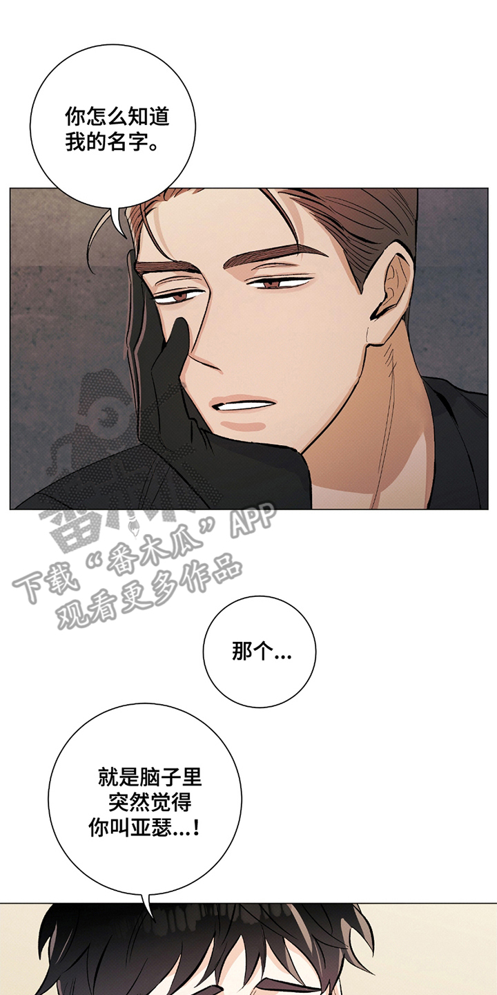 欧文的心脏 - 无关 - 第5页